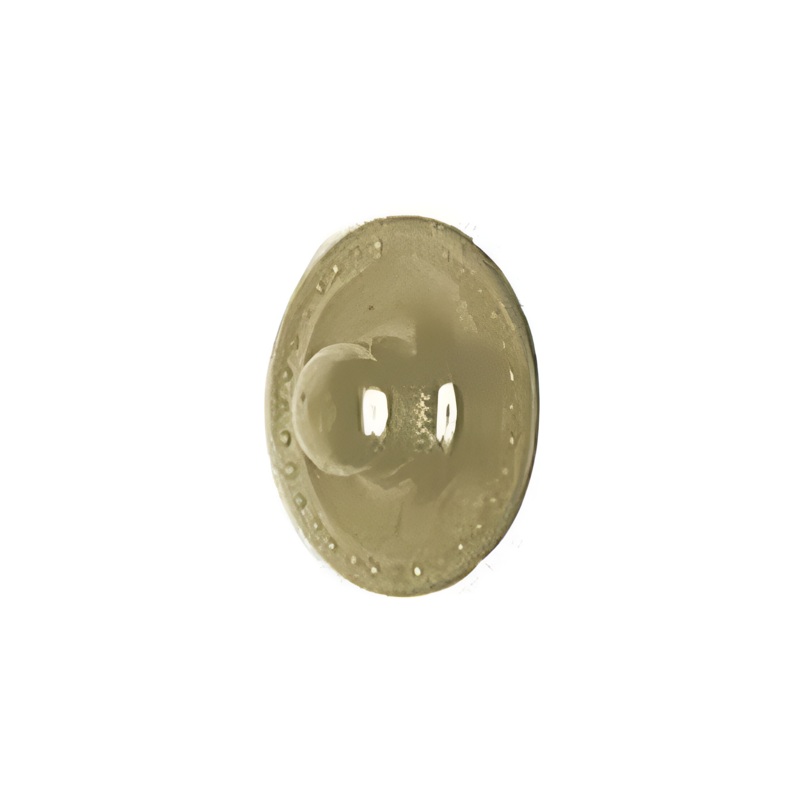 Segma Size 21 Brass Stud, Solid Brass