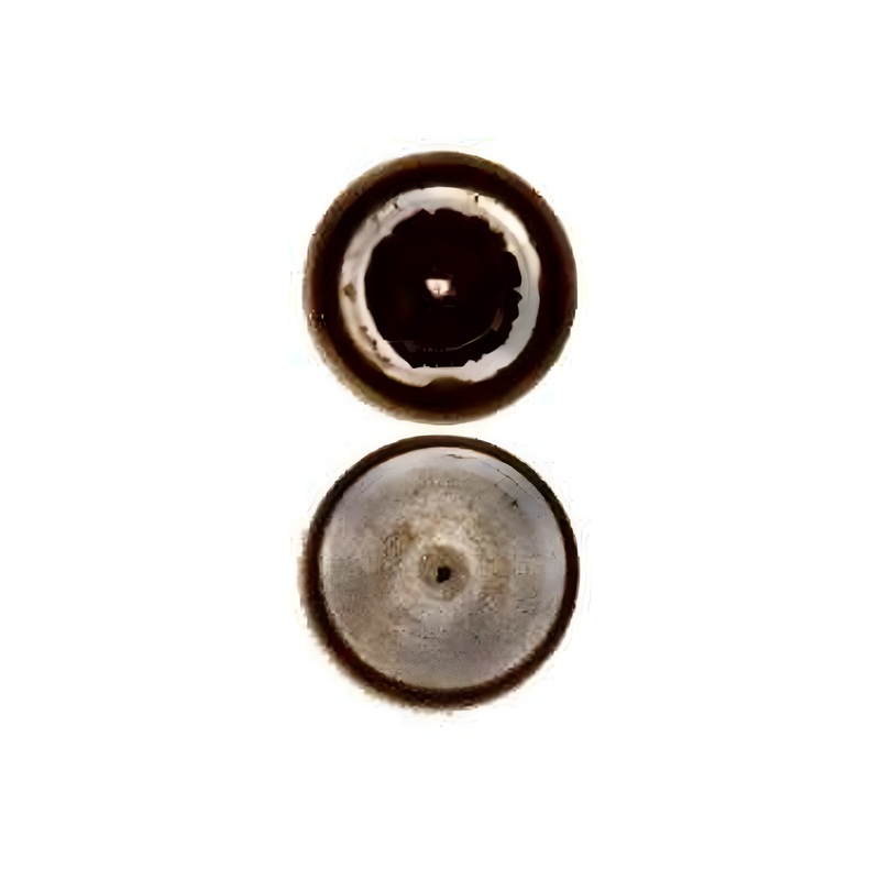 7/16″ Antique Brass, Rivet Cap, Steel – 24 pk, #11-CAP-AB