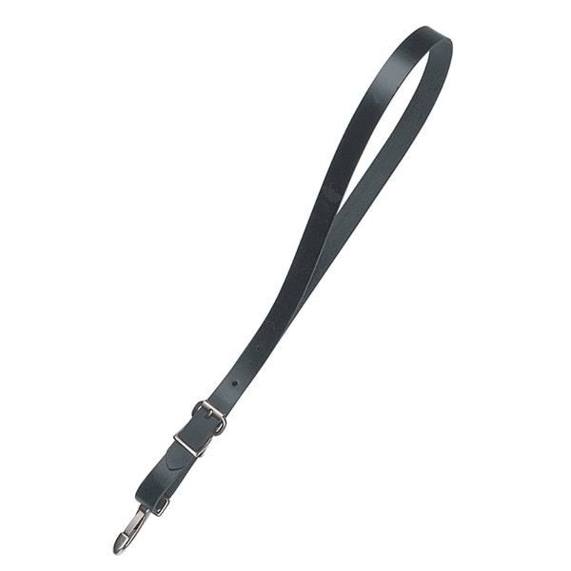 Hold Back Strap Black, Horse, 1″